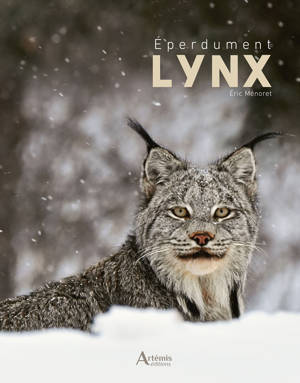 Eperdument Lynx