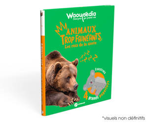 Les rois de la sieste, animaux trop fainéants - Waoupédia dès 6 ans