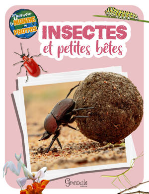 Insectes et petites bêtes