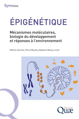 Épigénétique