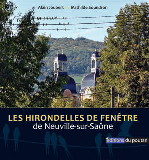 Les Hirondelles de fenêtre