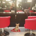 Bel&co Peluquería y Centro Estetíco en Sevilla 2 Bel&co Peluquería y Centro Estetíco en Sevilla