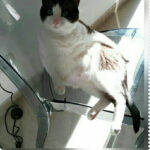 Glamour Peluqueros en Aranjuez