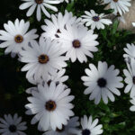 Peluquería Berta en Torrelavega