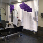 Peluquería Corte y Coletas en Logroño