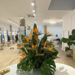 Peluquería Elias Guerrero en Badajoz 8 Peluquería Elias Guerrero en Badajoz