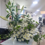 Peluquería Gallego Estilismo en Ourense 9 Peluquería Gallego Estilismo en Ourense