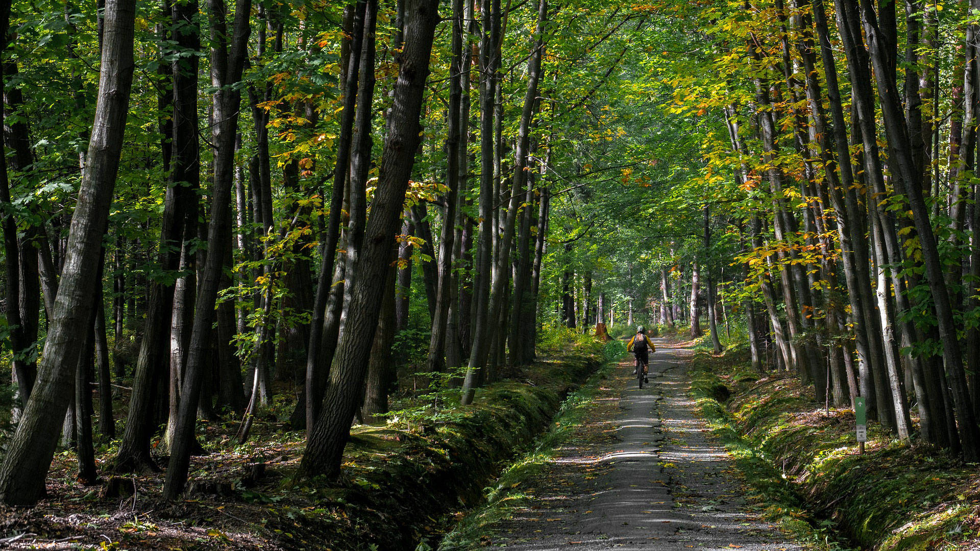 balade-vtt-pixabay-(2)_HD.jpg