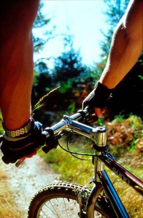 Vélo