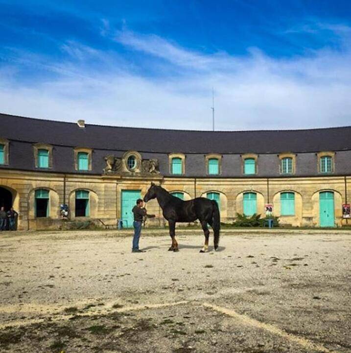 Musée du Cheval ardennais