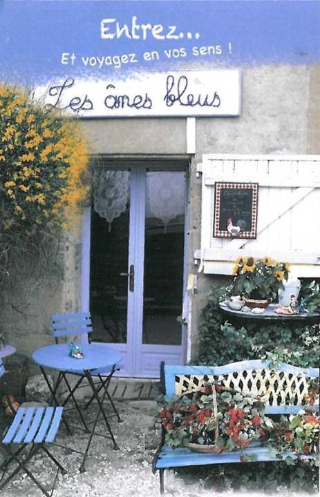 Les anes bleus