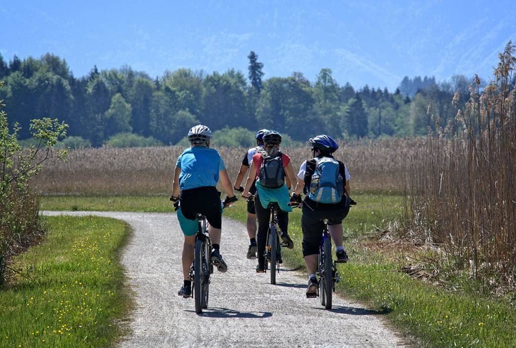 Sentier VTT