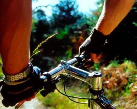 Vélo