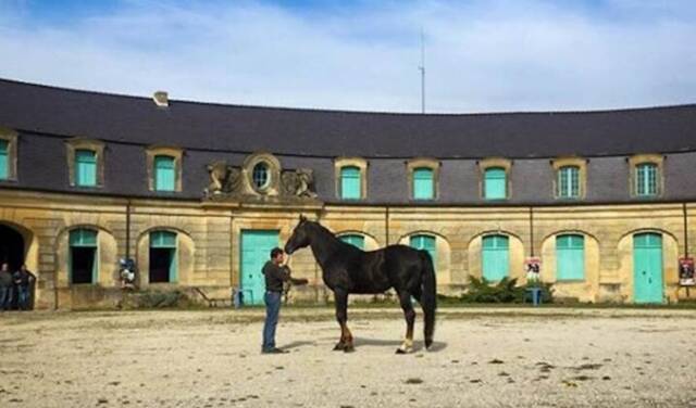 Musée du Cheval ardennais
