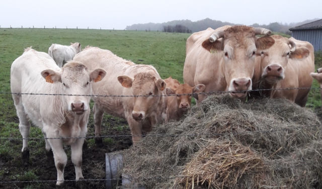 Visite à la ferme