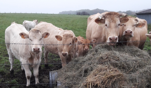 Visite à la ferme 