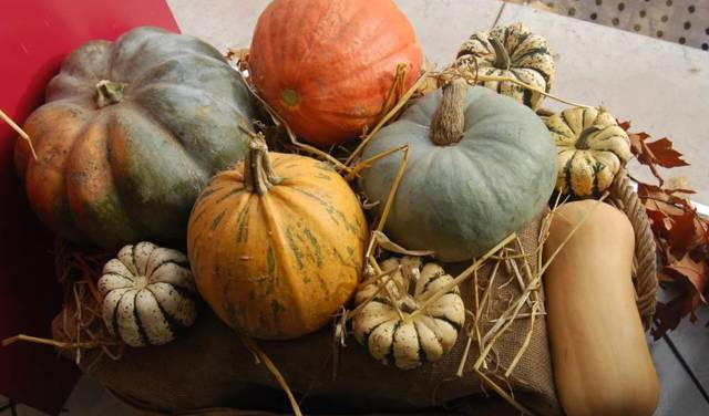 Ferme des 4 Saisons
