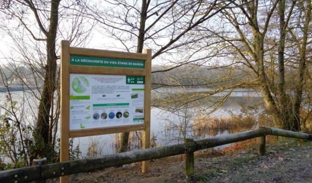A la découverte de la faune du Vieil-Etang de Bairon