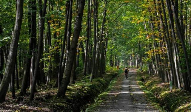 Randonnée VTT en forêt de La Croix aux Bois