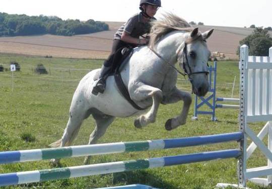 Poney-club du lieudit de Bussy