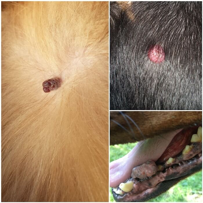 ¡Grano en la Axila: ¡Consejos para su Eliminación! Me salio un grano en la axila