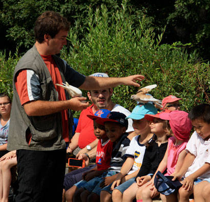 PAD_Pass-illimites_spectacle-oiseaux_enfants.jpg