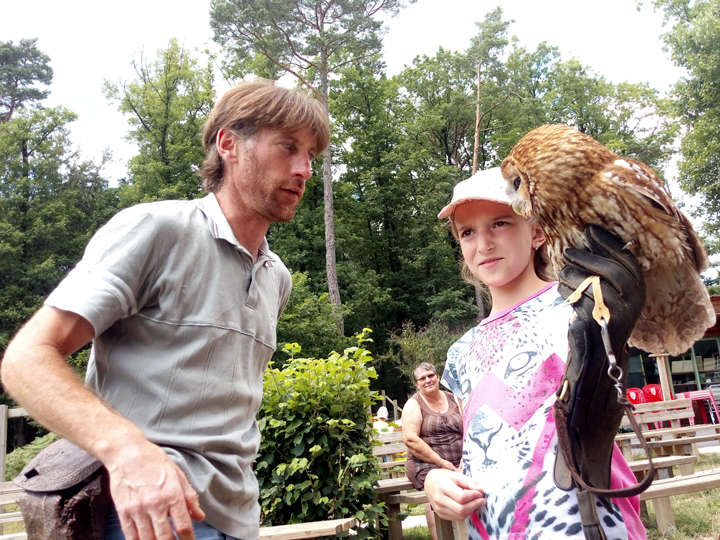 PAD_anniversaire_oiseau_Lilou_2.jpg