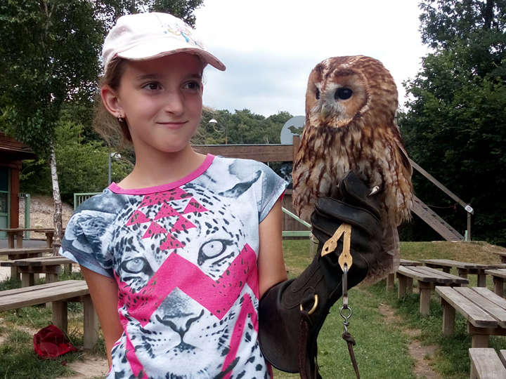 PAD_anniversaire_oiseau_Lilou_3.jpg