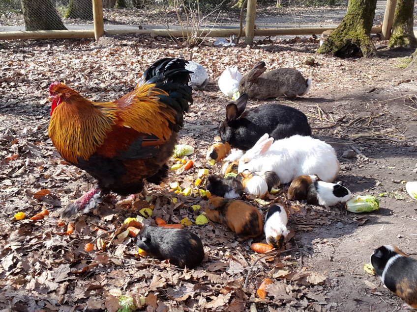 Ferme - Header.jpg