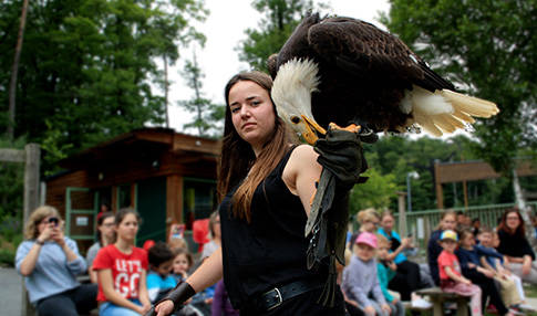 PAD_spectacle_oiseaux_aigle_fauconnier.jpg