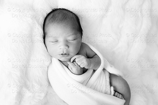Hayden Lamine