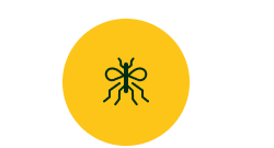 Bug Icon