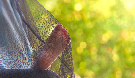 Use an effective insect repellent