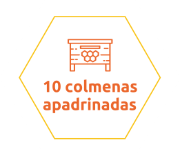 10 Colmenas apadrinadas