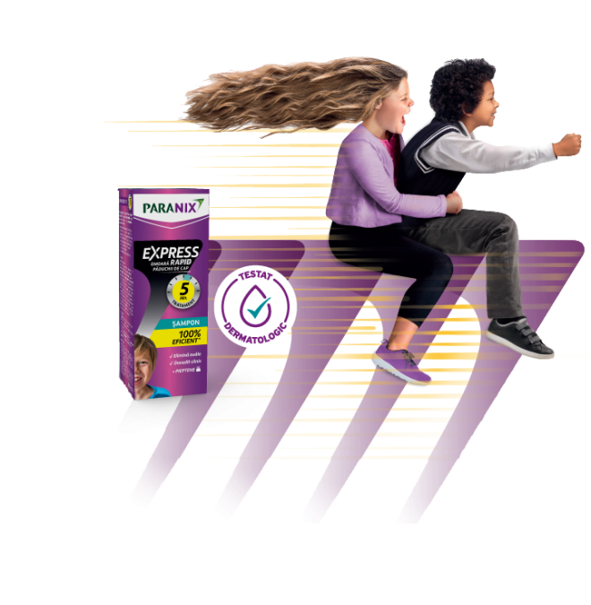Paranix Express Banner
