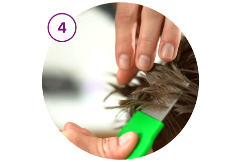 Step4