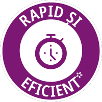 RO-Fast-Effective_icon