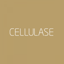 cellulase