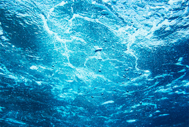 underwater.png