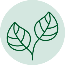 vegetarisch_groen