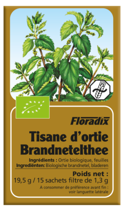 Brandnetel