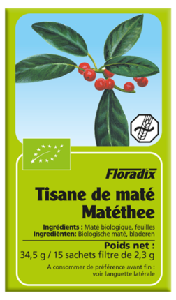 Maté thee