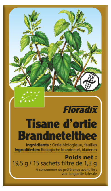 Brandnetel