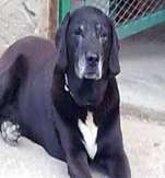 Colocation Senlis  & Location Chambre à louer Senlis CONTRESERVICES | Loue chambre meublée Senlis  CONTRESERVICES | Logement Senlis  CONTRESERVICES