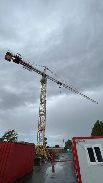grue