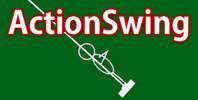 ActionSwing