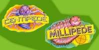 Arcade Classic 2 : Centipede / Millipede