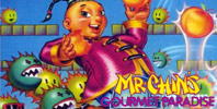 Mr Chin's Gourmet Paradise