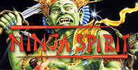 Ninja Spirit