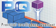 PQ: Practical Intelligence Quotient